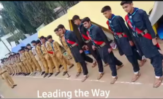 scouts